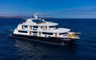 PETREL 22