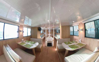 PINGUINO EXPLORER 8