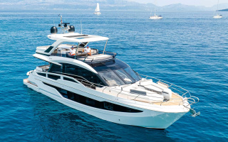 FG STAR 24