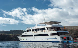 SEA STAR 2
