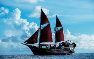 MANTA MAE