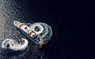 BLACK SWAN 36