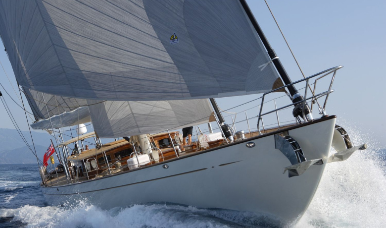 EUGENIA VII